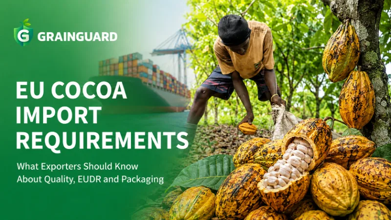 EU-Einfuhranforderungen für Kakao. Was Exporteure über Qualität, EUDR und Verpackung wissen sollten
